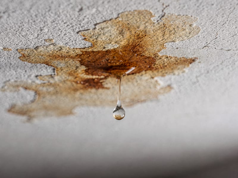 Leak Detection & Repair